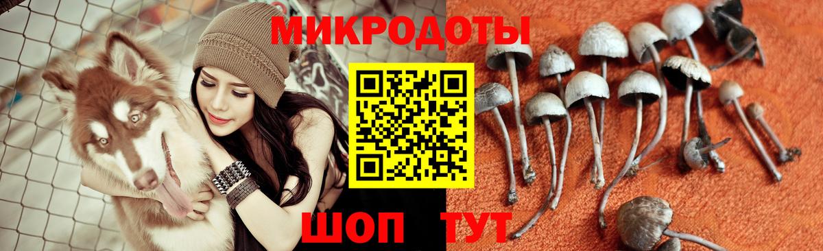 Котлас  Псилоцибиновые грибы мухоморы  Вход с VPN 